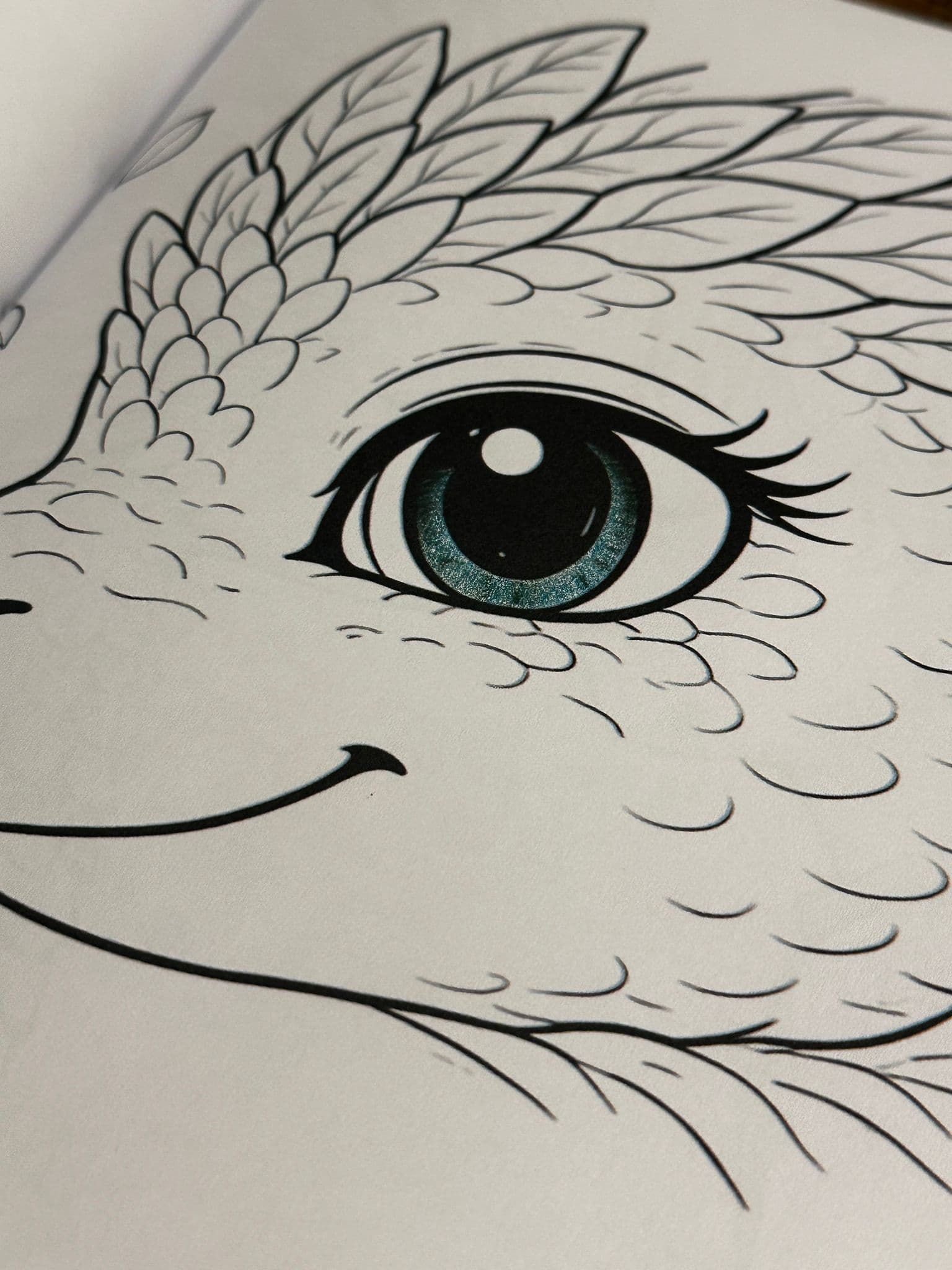 Artistic dragon face drawing from the book