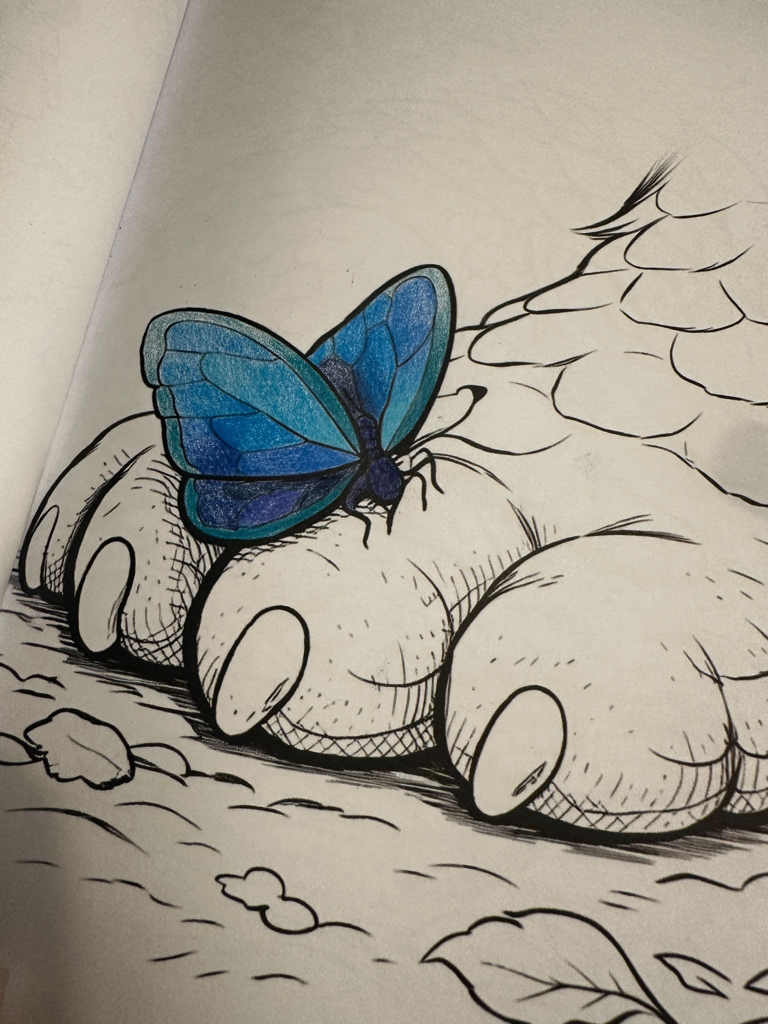 Butterfly on a dragon's foot illustration