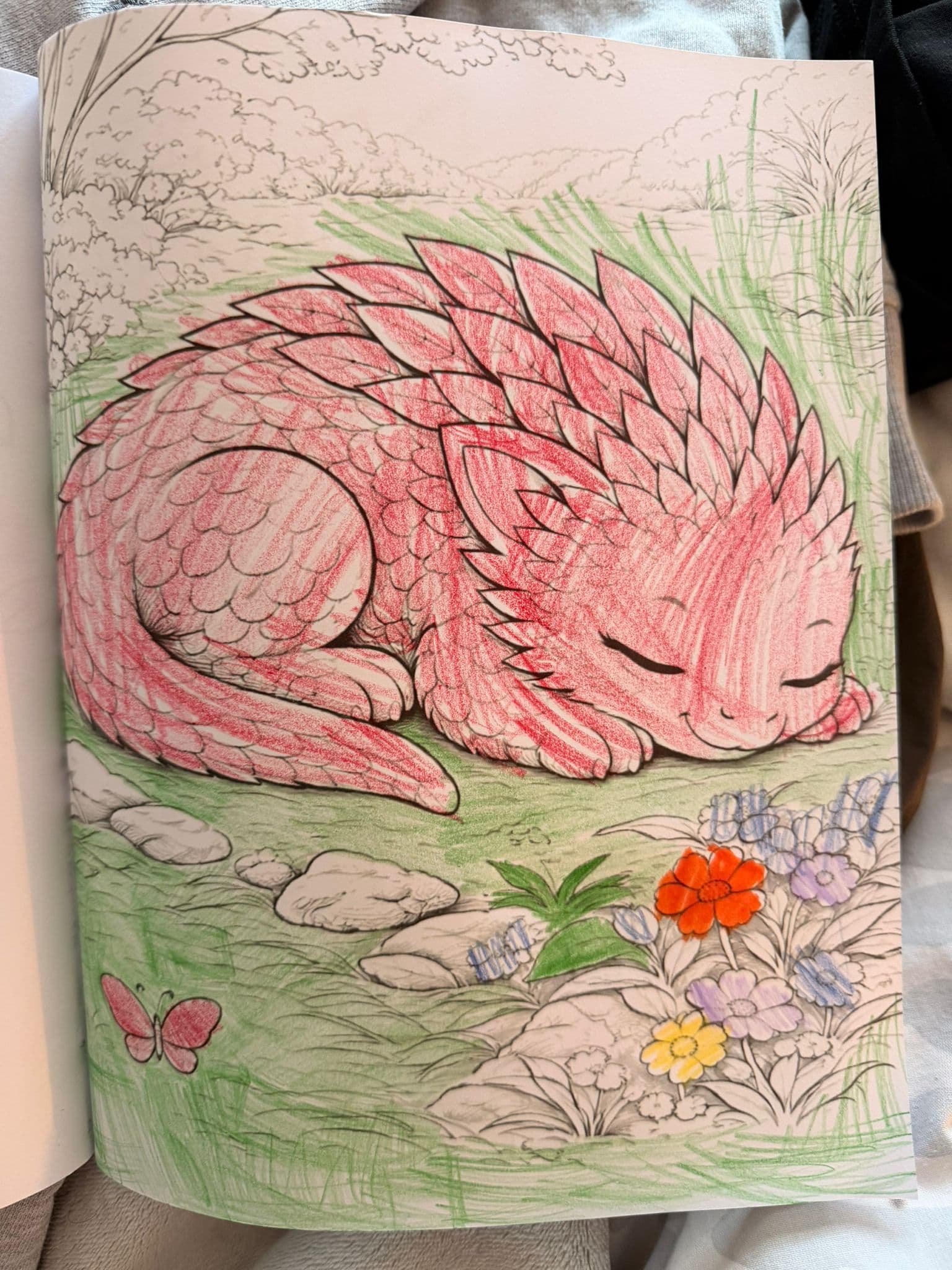 A peacefully sleeping dragon drawing